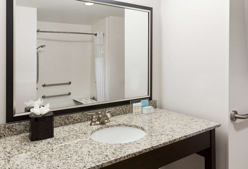 장애인을 위한 킹사이즈 침대 스탠다드 룸, Hampton Inn Fairmont