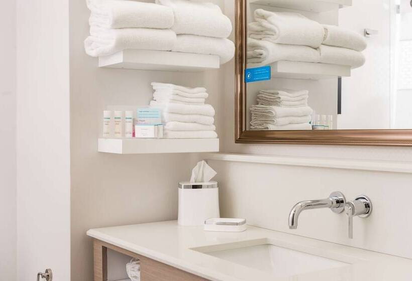 Стандартный Номер Кровать Кинг, Hampton Inn & Suites La Crosse Downtown