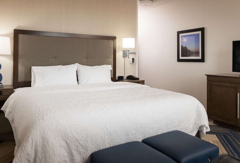 Номер Стандарт Кровать Кинг Адаптированный для Инвалидов, Hampton Inn & Suites La Crosse Downtown