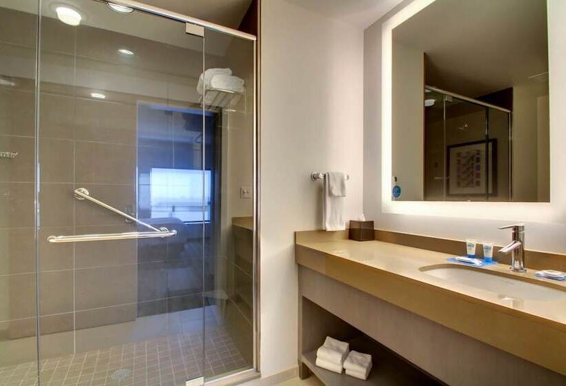 Люкс, Hyatt House Chicago/evanston