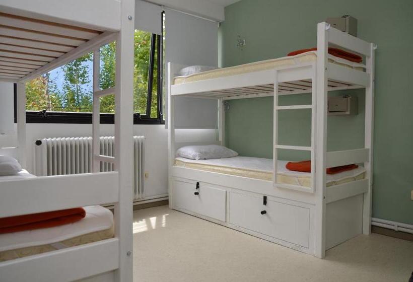 共用房间的床, Hostel & Suites Del Rio