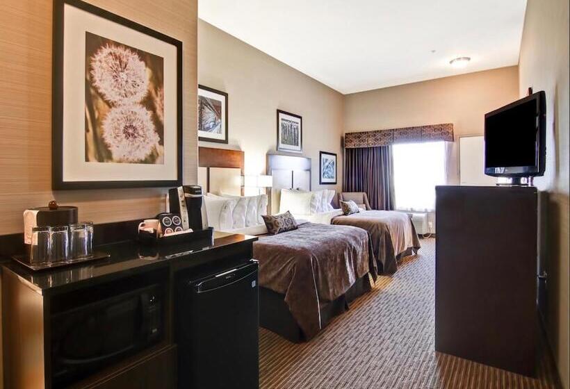 スタンダードルーム, Canalta Hotel Assiniboia