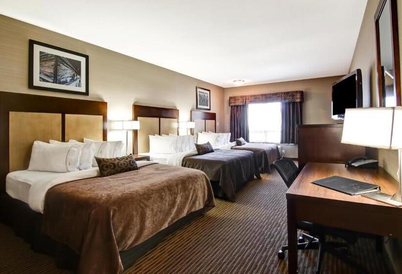 スタンダードルーム, Canalta Hotel Assiniboia