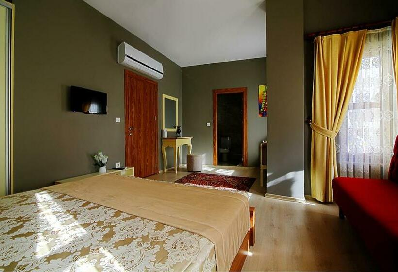 اتاق لوکس, Million Old City Apartment