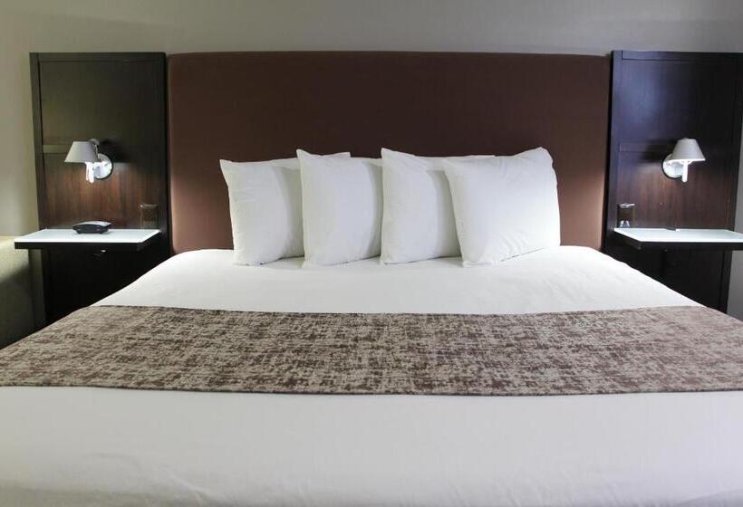 스탠다드 룸 킹사이즈 침대, Westbridge Inn & Suites