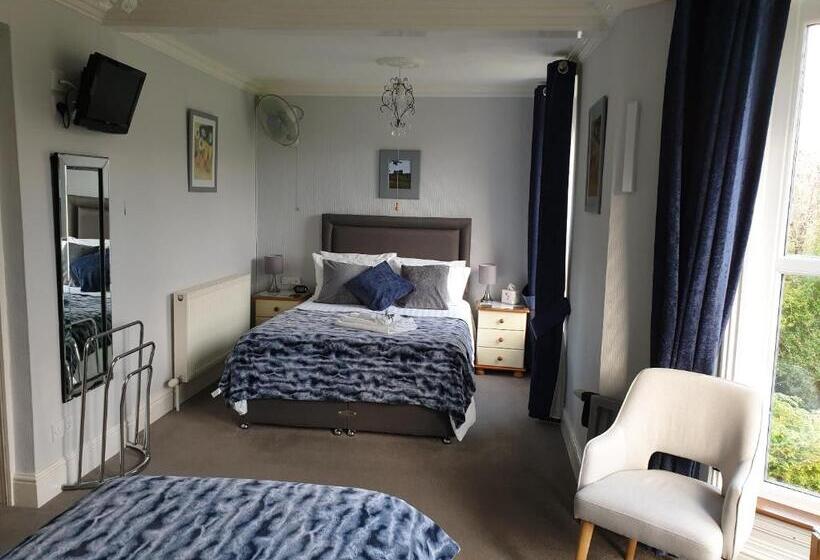 Номер Стандарт Трехместный, Bronwye Guest House