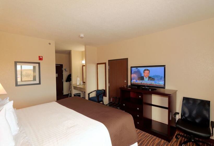 장애인을 위한 킹사이즈 침대 스탠다드 룸, Cobblestone Inn & Suites   Denison | Oak Ridge