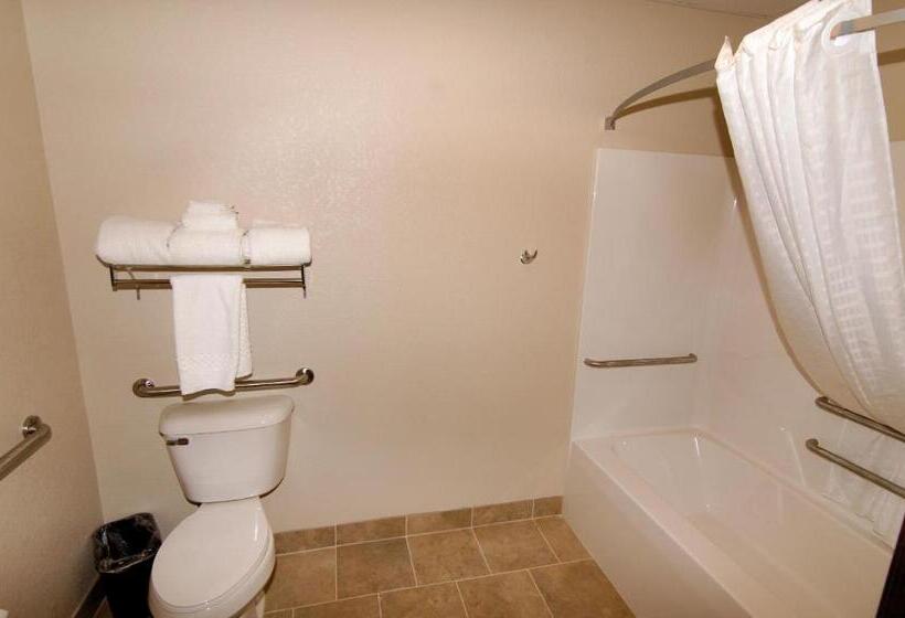 장애인을 위한 킹사이즈 침대 스탠다드 룸, Cobblestone Inn & Suites   Denison | Oak Ridge