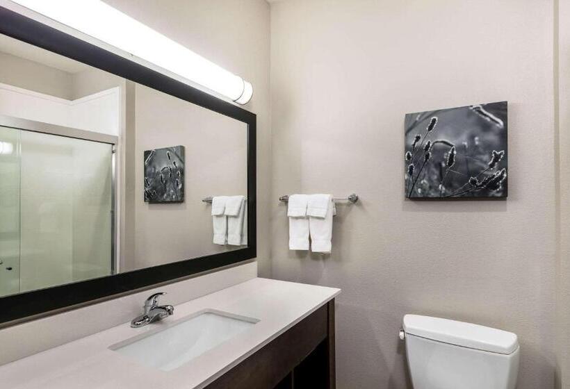 Стандартный Номер Кровать Кинг, La Quinta By Wyndham Claremore
