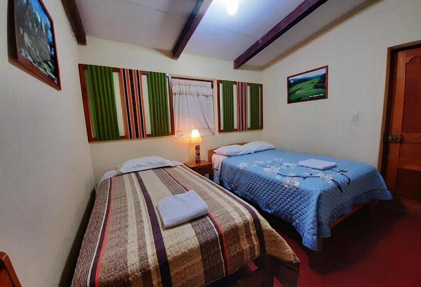 اتاق استاندارد, Healthy Stay Gocta