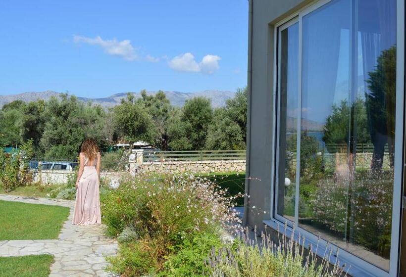 استودیوی استاندارد, Thesmos Village