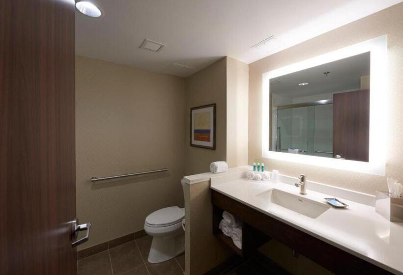 スタンダードルーム, Holiday Inn Express & Suites St. John S Airport, An Ihg