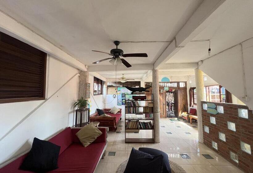 Номер Стандарт Индивидуальный Совместная Ванная, Seabreeze Hostel Bali