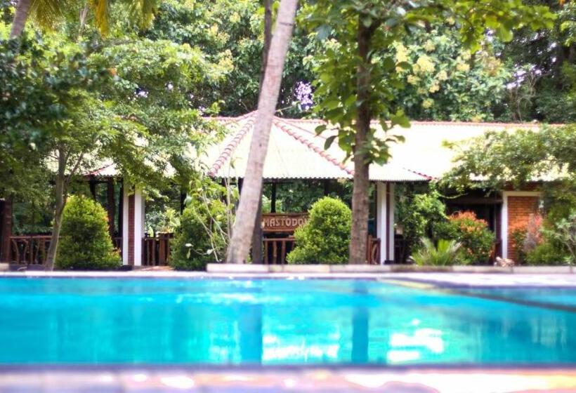 اتاق لوکس, The Mastodon Valley Safari Resort