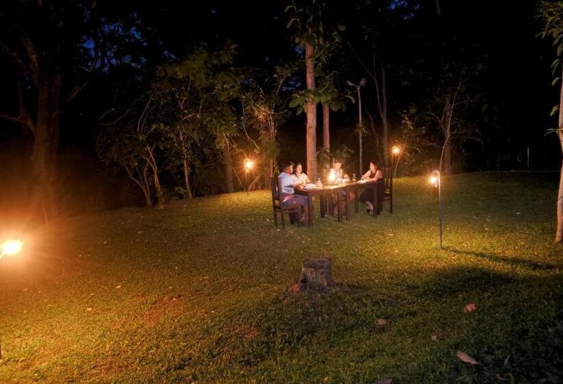 اتاق لوکس, The Mastodon Valley Safari Resort