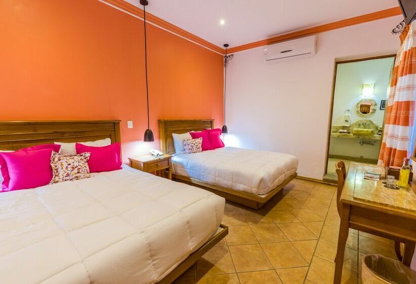 سوییت جونیور, Oaxaca Inn Centro