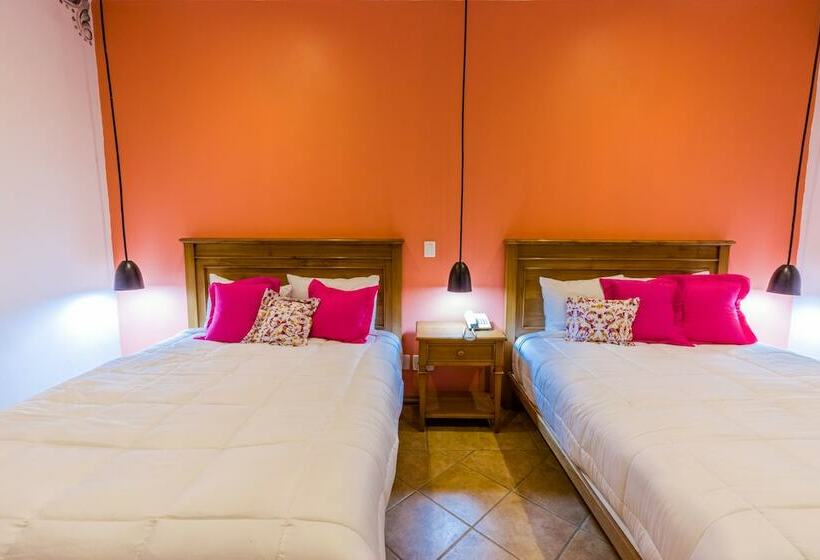 سوییت جونیور, Oaxaca Inn Centro