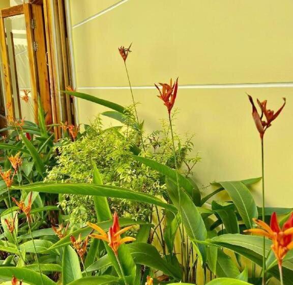 اتاق استاندارد, Liên Tho Phú Quốc