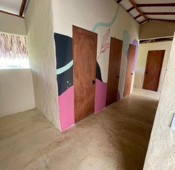 공동 객실, Makai Beach Hostel