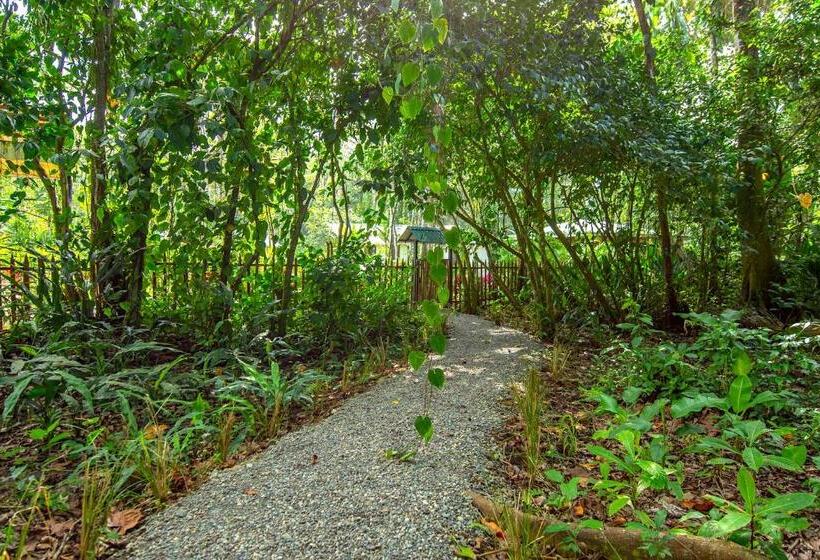 بانگلوی استاندارد 2 خوابه, Dragonfly Beachfront Villas Adult Only
