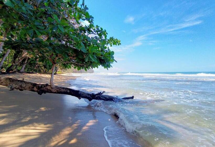 بانگلوی استاندارد, Dragonfly Beachfront Villas Adult Only