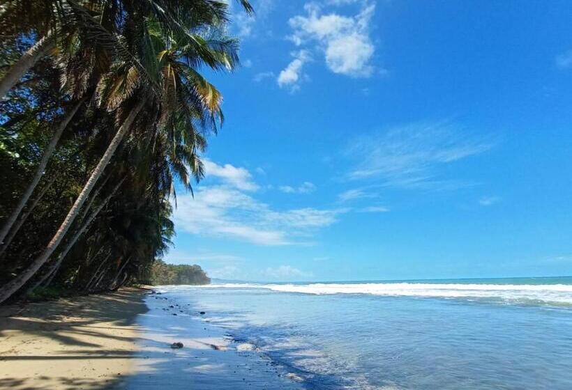 آپارتمان 1 خوابه با چشم‌انداز دریا, Dragonfly Beachfront Villas Adult Only
