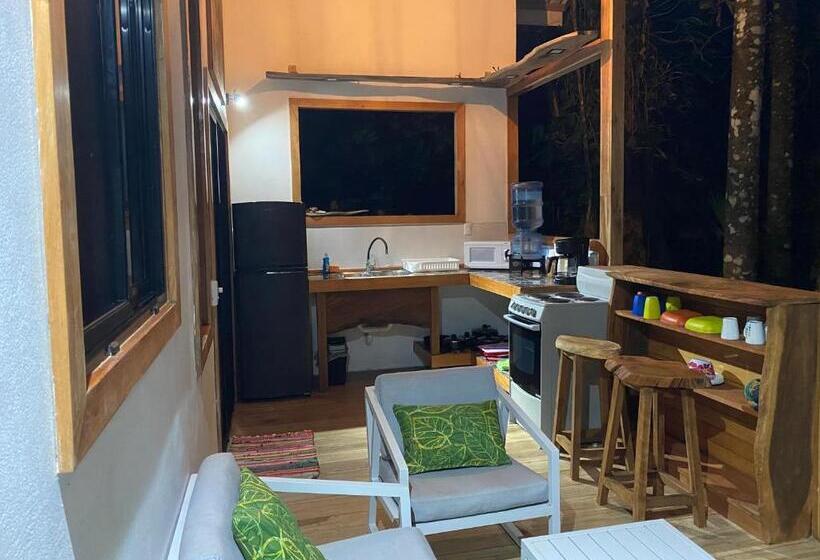 اتاق استاندارد, Dragonfly Beachfront Villas Adult Only