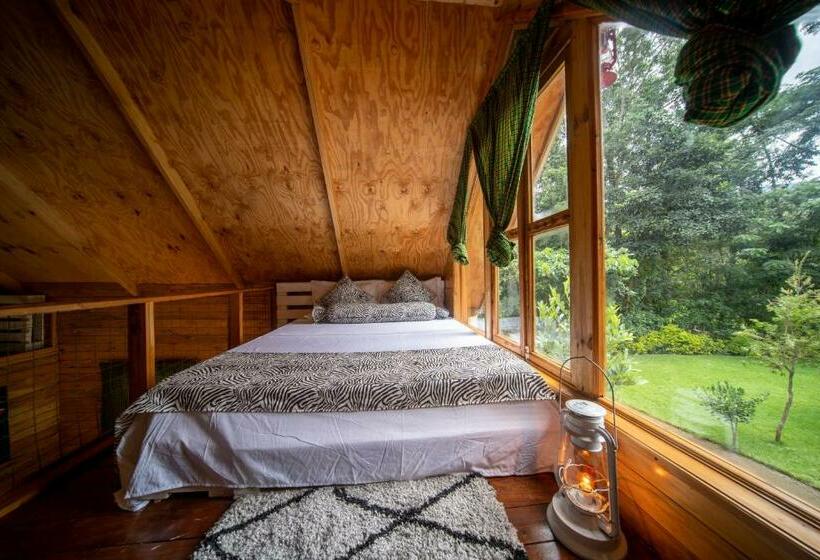 اتاق استاندارد سه نفره, River Off Grid Eco Cabins