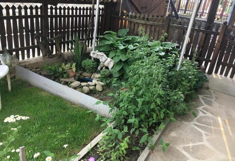Семейный Номер Совместный Санузел, Dyadovata Kashta