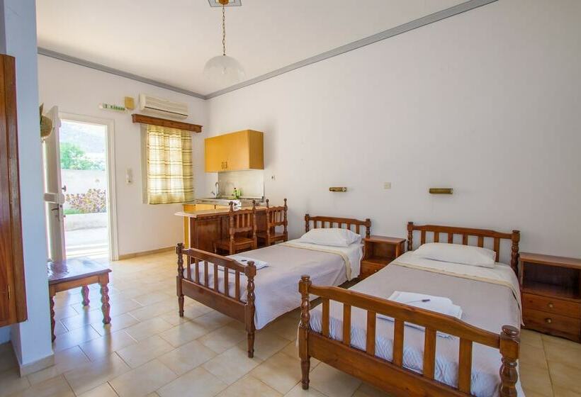 استودیوی استاندارد با چشم‌انداز دریا, Irene Hotel Leros
