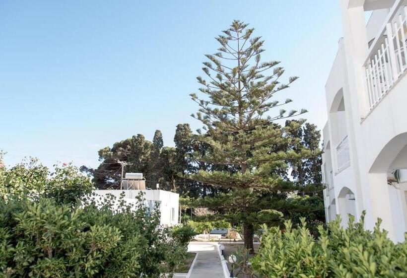 Апартаменты 1 Спальня Нижний Этаж, Irene Hotel Leros