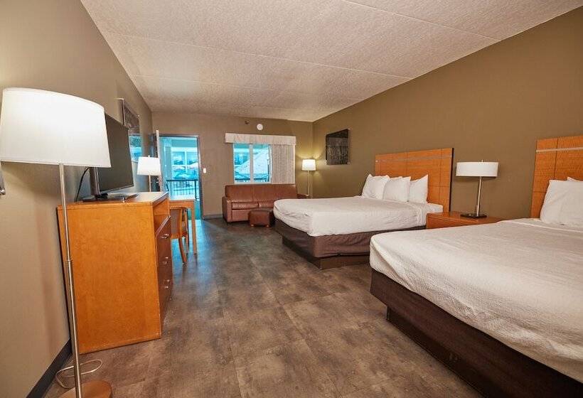 스탠다드 룸, Adventureland Inn