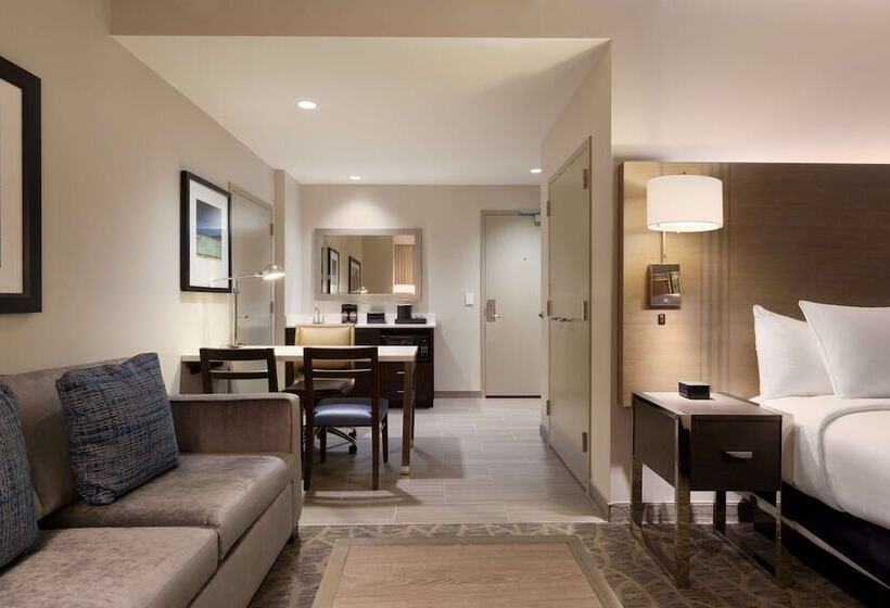 Студия Стандарт Двуспальная Кровать, Embassy Suites By Hilton The Woodlands At Hughes Landing