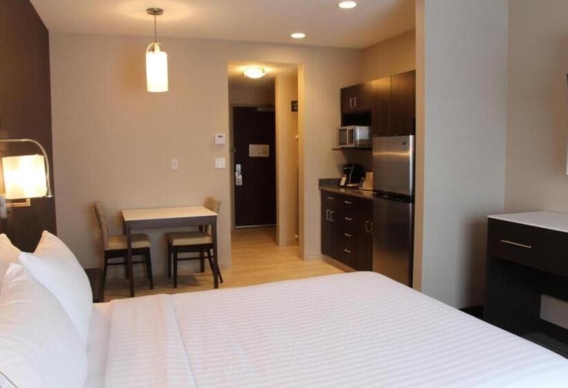수피리어 싱글 룸, Holiday Inn Express & Suites Cold Lake, An Ihg
