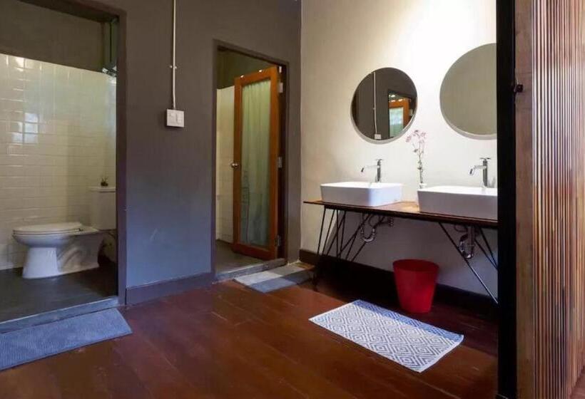 Номер Стандарт Совместная Ванная, Chiang Mai D Hostel