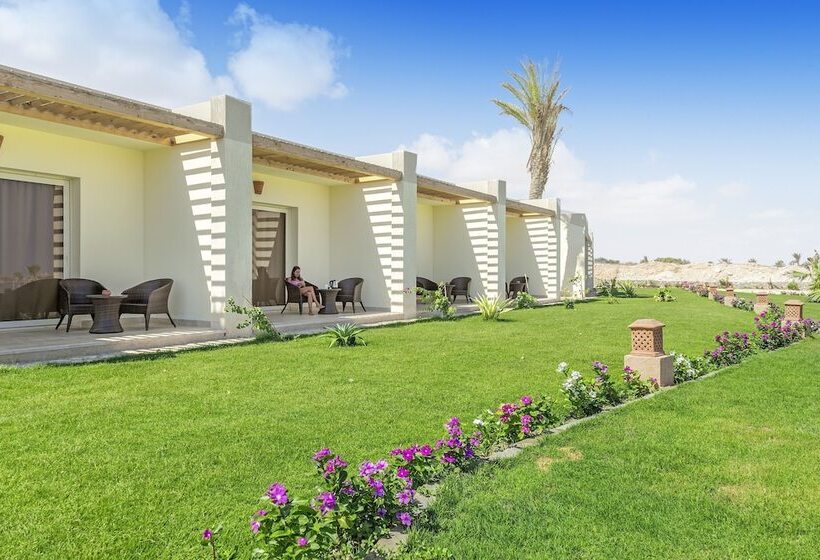 اتاق سوپریور, Caesar Bay Resort