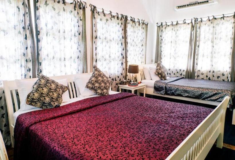 اتاق استاندارد با تخت بزرگ, Green Gallery Beach Boutique