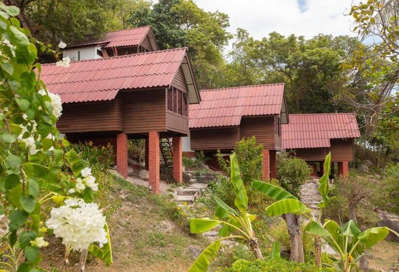 小室, Coral View Resort