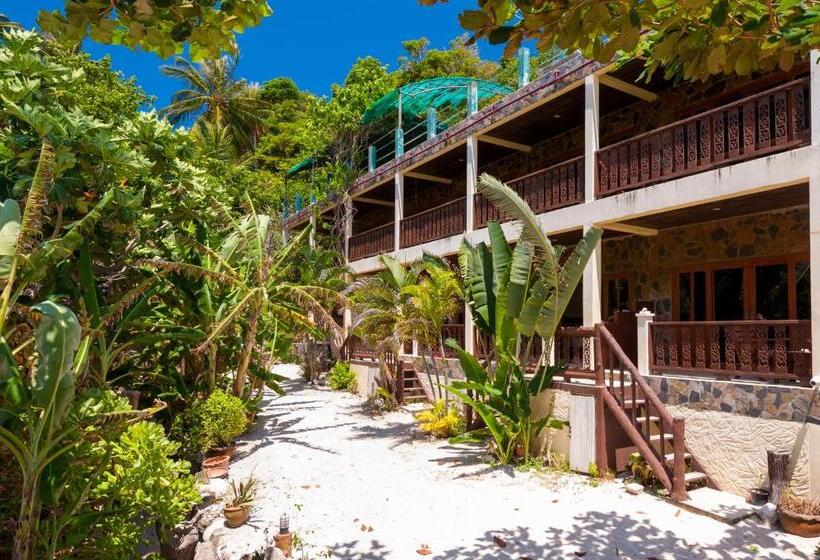 Номер Стандарт, Coral View Resort