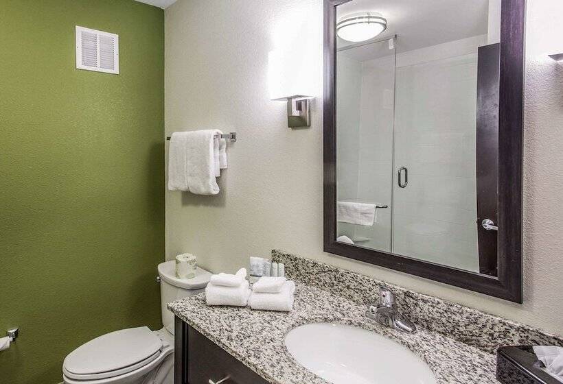 Suíte para Deficientes Físicos, Sleep Inn & Suites Dayton