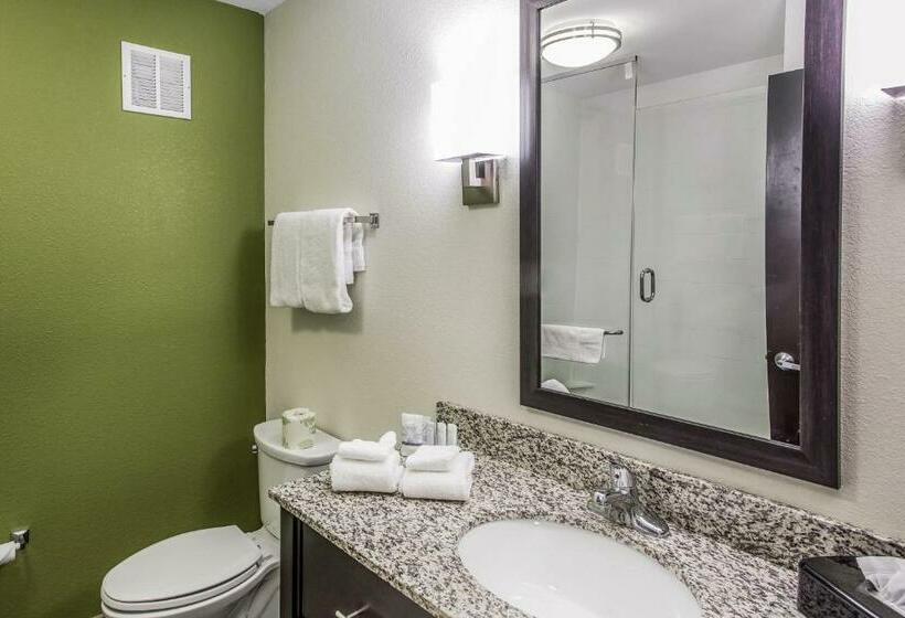 Quarto Estandar Cama King, Sleep Inn & Suites Dayton
