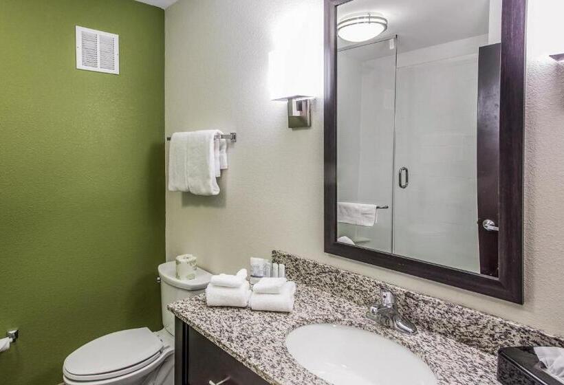 Quarto Estandar Cama King para Deficientes Físicos, Sleep Inn & Suites Dayton