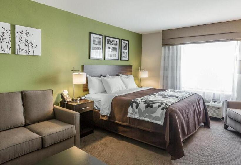 Suíte para Deficientes Físicos, Sleep Inn & Suites Dayton
