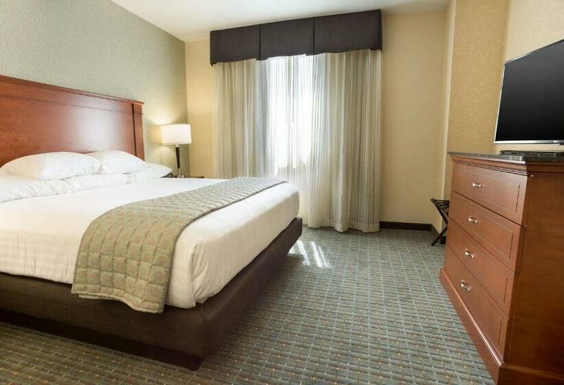 Студио Стандарт Кровать Кинг, Drury Inn & Suites Grand Rapids