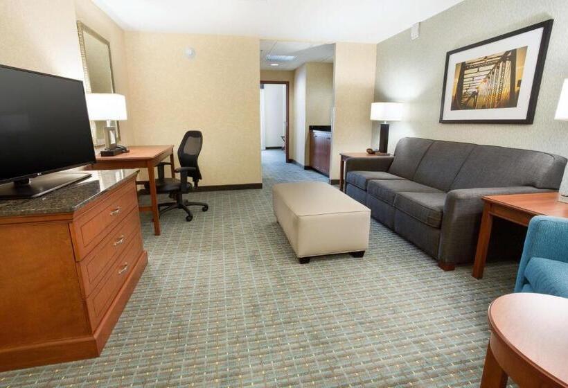 Люкс Superior, Drury Inn & Suites Grand Rapids