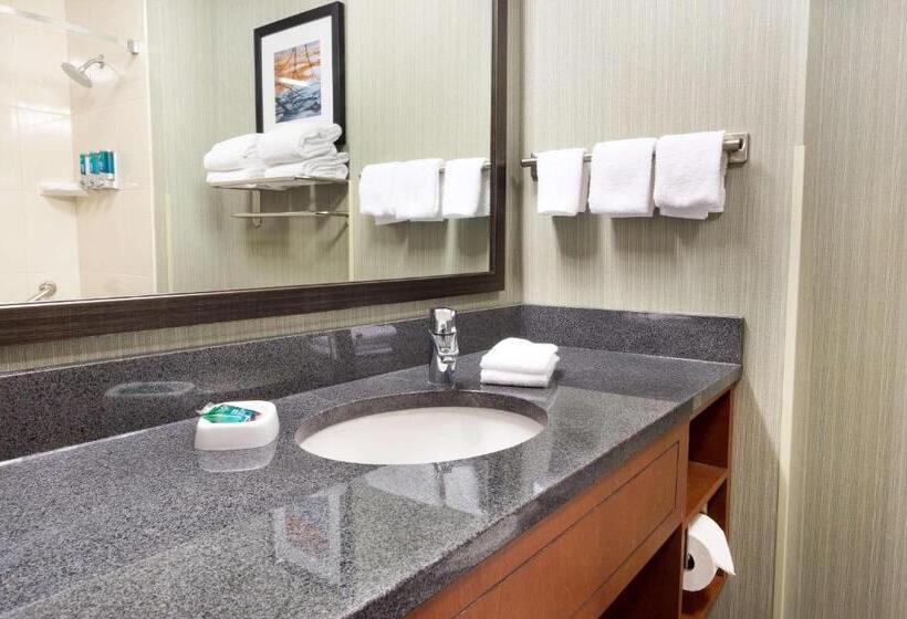 Студио Стандарт Кровать Кинг, Drury Inn & Suites Grand Rapids