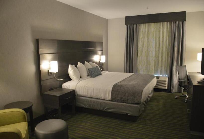 Стандартный Номер Кровать Кинг, Best Western Plus Prien Lake Hotel & Suites   Lake Charles