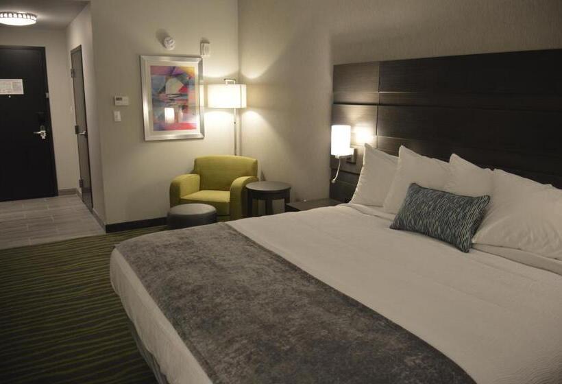 스탠다드 룸 킹사이즈 침대, Best Western Plus Prien Lake Hotel & Suites   Lake Charles