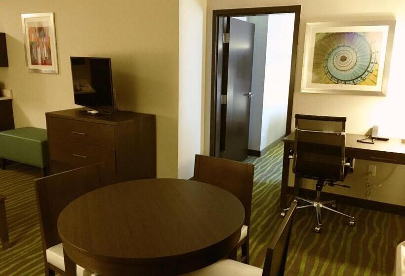 스위트, Best Western Plus Prien Lake Hotel & Suites   Lake Charles