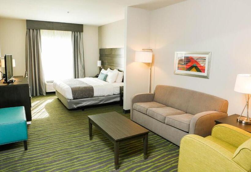 Люкс Кровать Кинг, Best Western Plus Prien Lake Hotel & Suites   Lake Charles